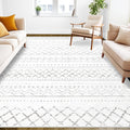 Area Rug Living Room Rugs 5x7 - Soft Boho Geometric Rug for Home