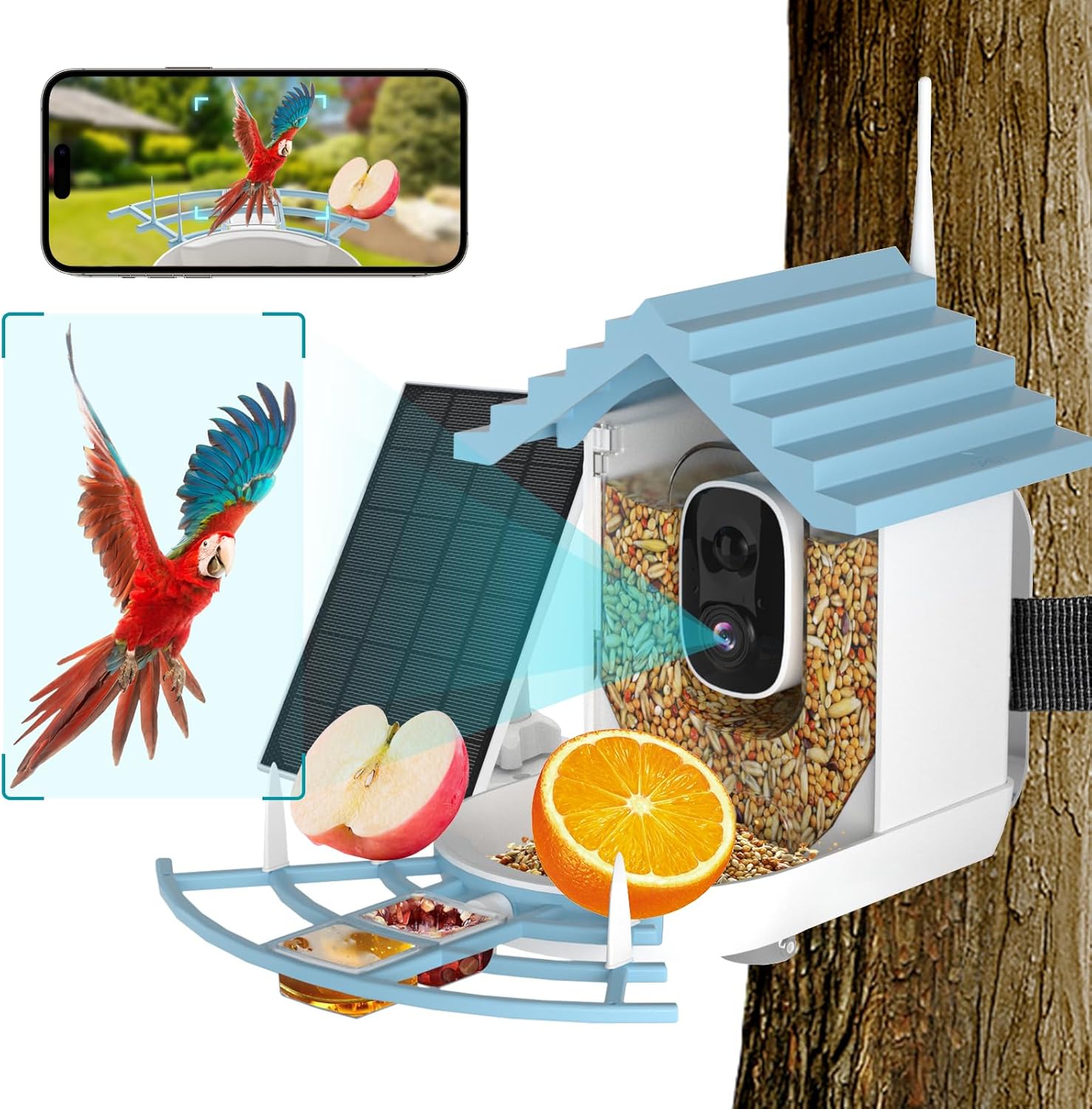 Smart Bird Feeder with AI Cam & Motion Detection