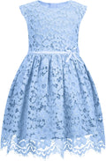 ALLOVIN Girls & Toddlers Sleeveless A-Line Lace Party (Style D7S4)