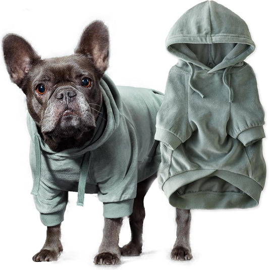 Cooper II Organic Cotton Velour Dog Hoodie for All Breeds
