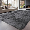 Sour Lemon 9x12 Area Rugs for Living Room, Soft Plush Carpet