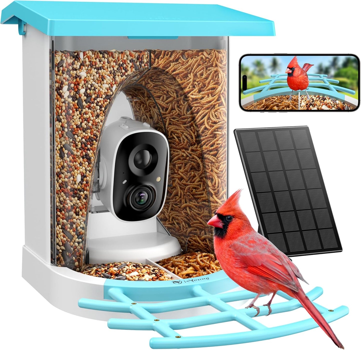 Smart Bird Feeder with Camera for Bird Lovers - 2K HD Quality