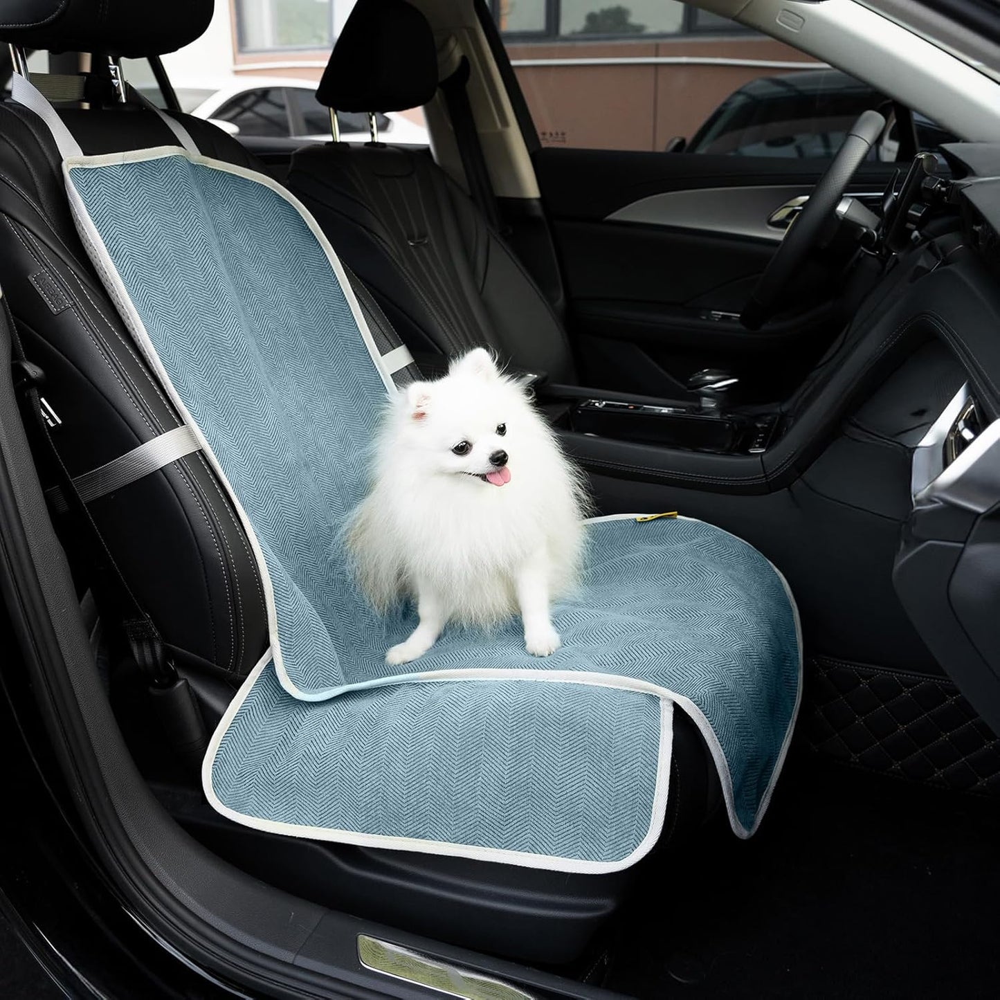 Funny Fuzzy Chenille Dog Car Seat Cover: Waterproof & Scratchproof