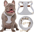 No Pull Dog Harness for Medium Dogs - Lightweight, No Choke Fit