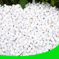White Pebbles for Plants Garden Decorative Stones 18 lb Gravel
