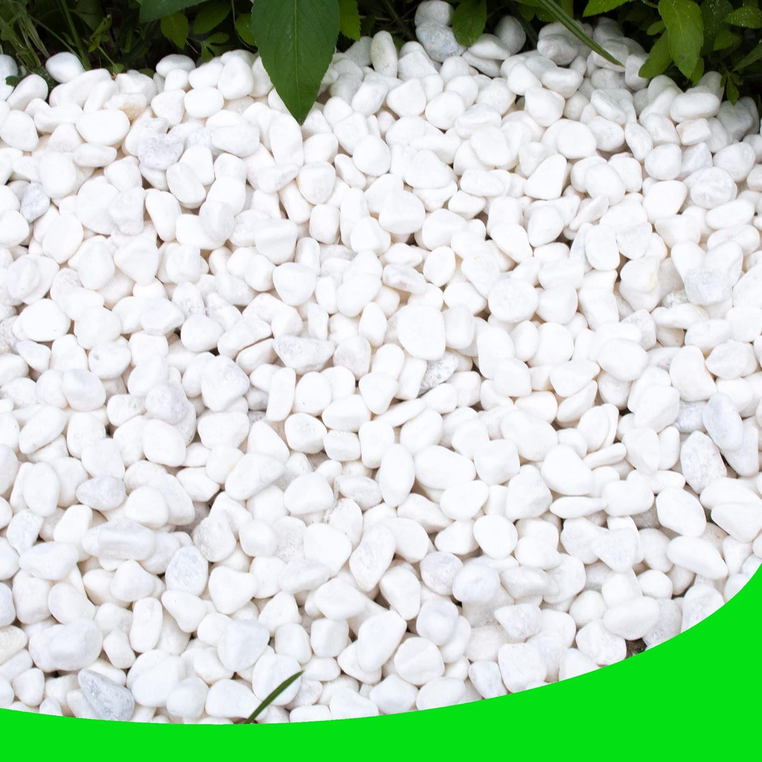 White Pebbles for Plants Garden Decorative Stones 18 lb Gravel