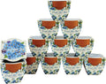 Buzzy Seeds Terracotta Mini Grow Pots - 12-Pack Forget-Me-Not Starter