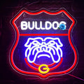 University Neon Sign for Wall Decor - Bright USB LED Team Light