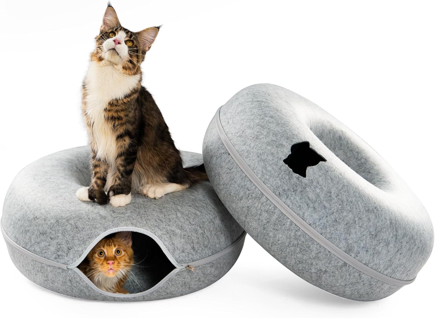 Cattasaurus Peekaboo Cat Cave: Spacious Cat Bed for Large Cats