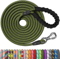 NTR 100FT Leash for Large Breed Dog - Heavy Duty Long Lead