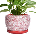 Ceramic Plant Pot 8 in Indoor Planter - Red and White Decorative