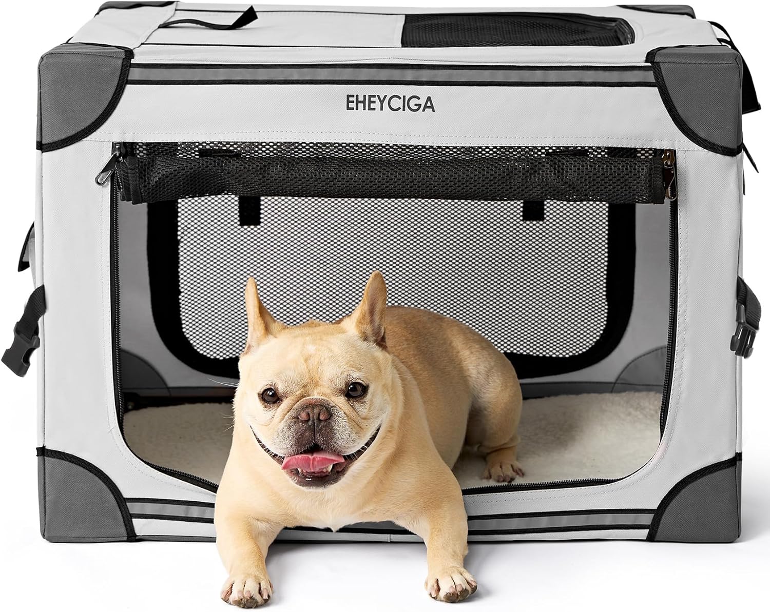 Collapsible Dog Crate for Small Dogs - Portable Travel Kennel