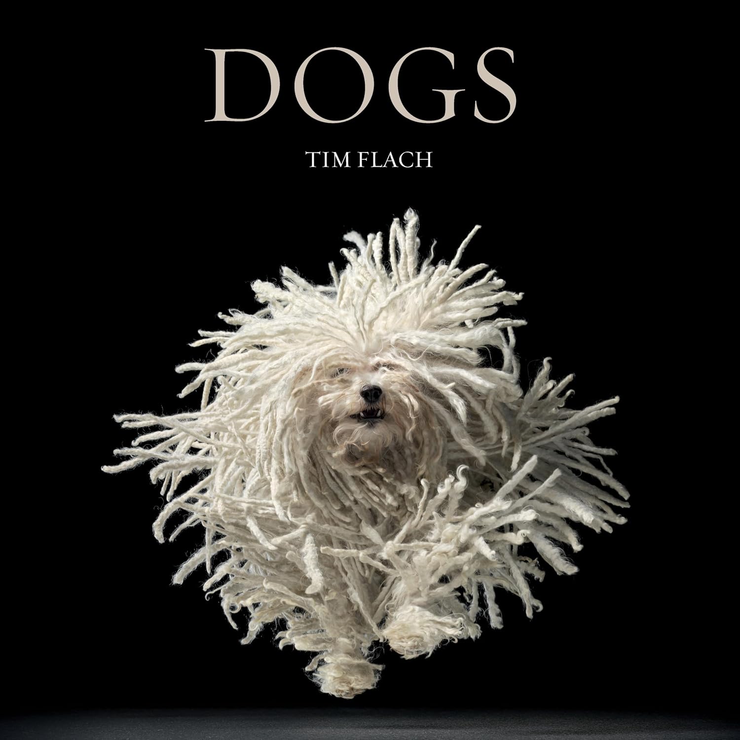 Dogs by Tim Flach: Captivating Canine Photography Collection