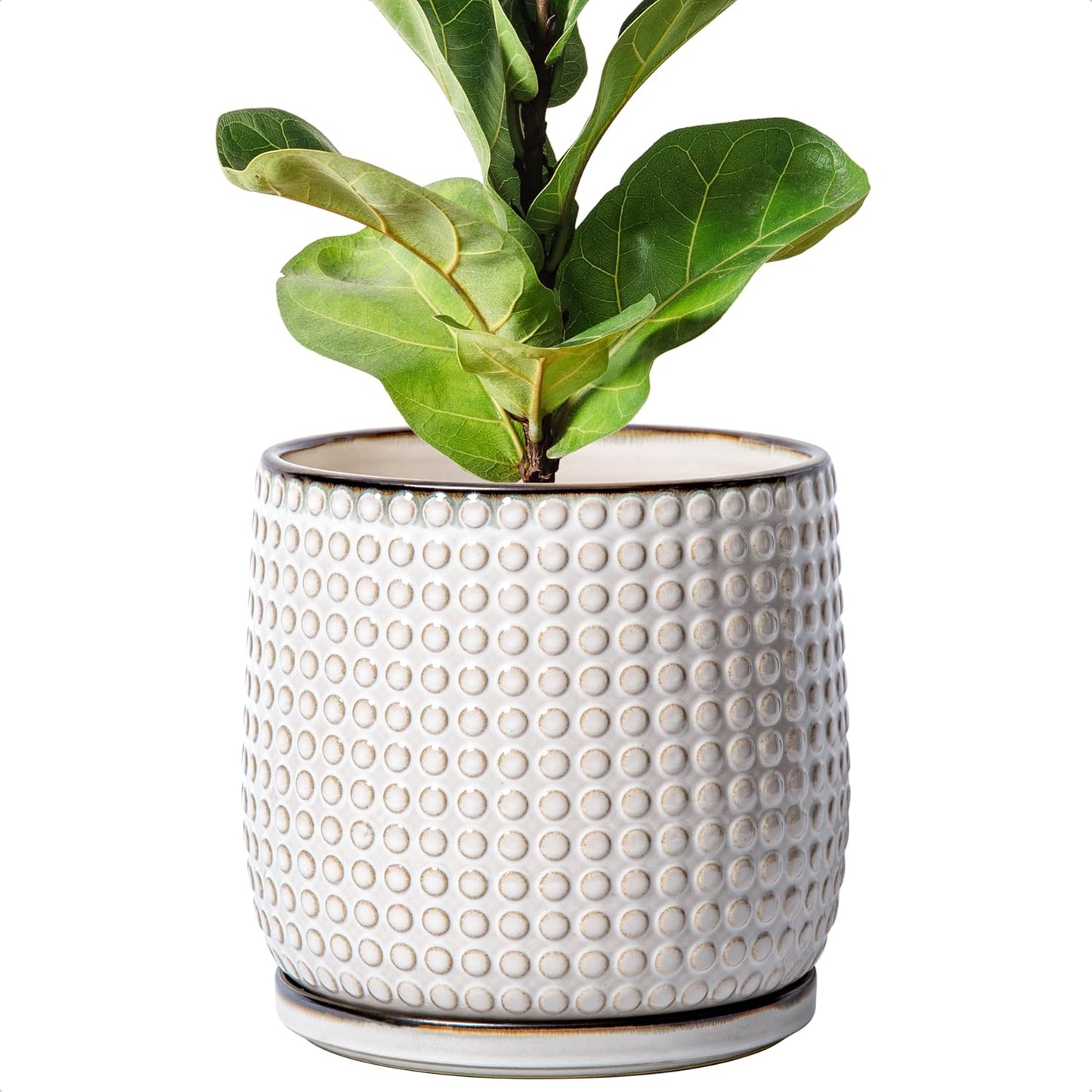 8 Inch Ceramic Beaded Stoneware Planter Pot for Succulents
