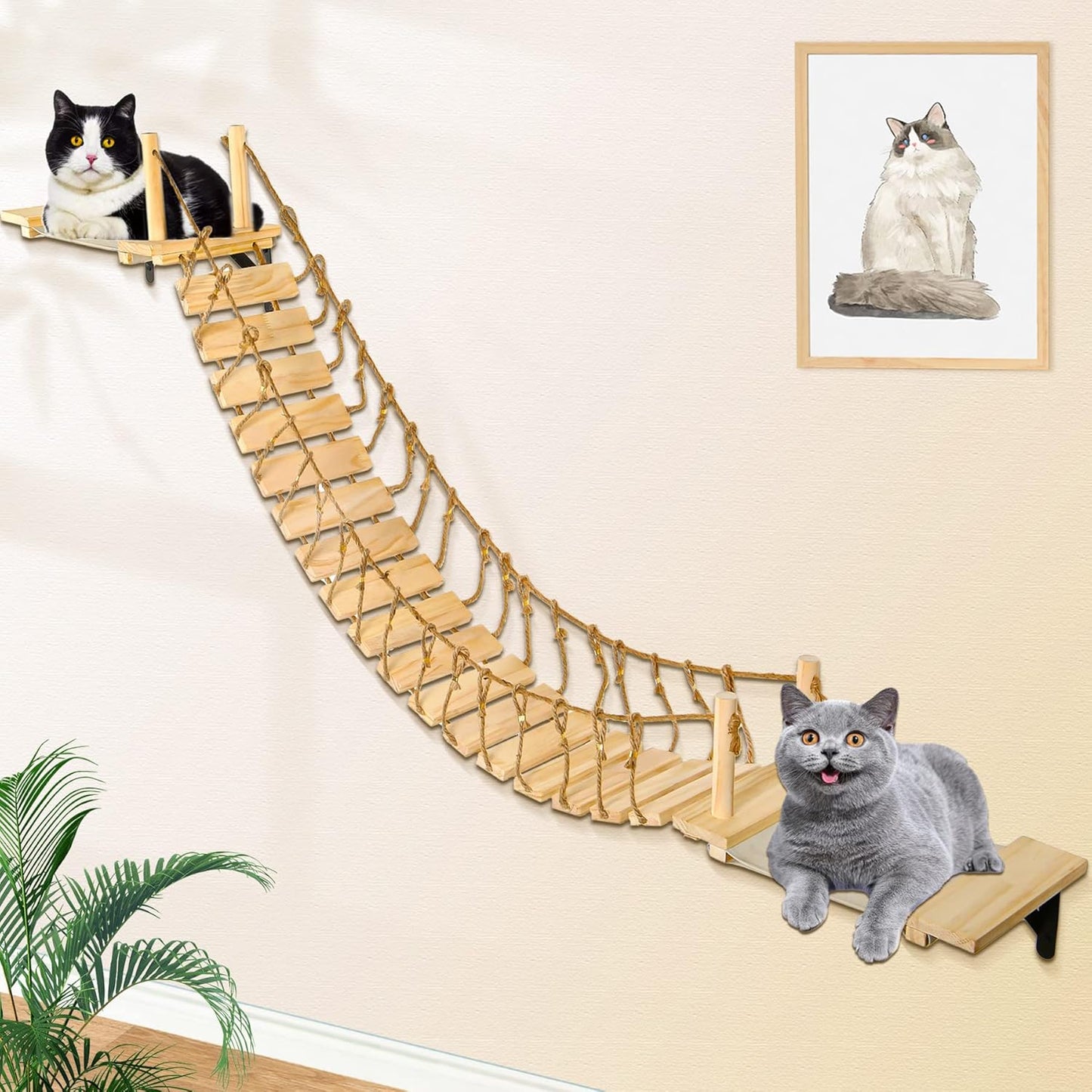 Calmbee Cat Wall Shelves - 70in Cat Bridge Hammock Tree