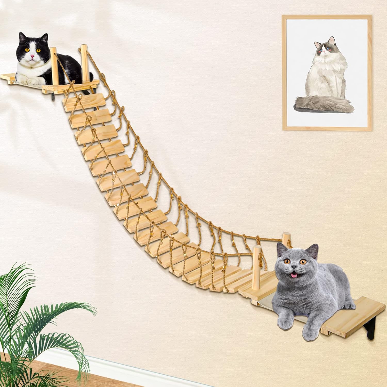 Calmbee Cat Wall Shelves - 70in Cat Bridge Hammock Tree