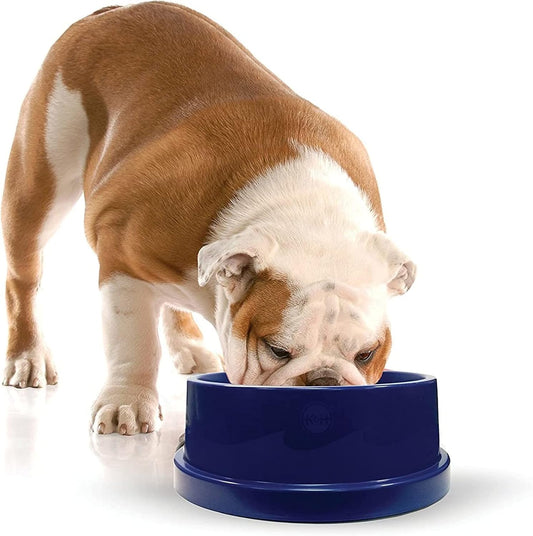 Stay Cool: K&H Pet Products Cooling Dog Bowl