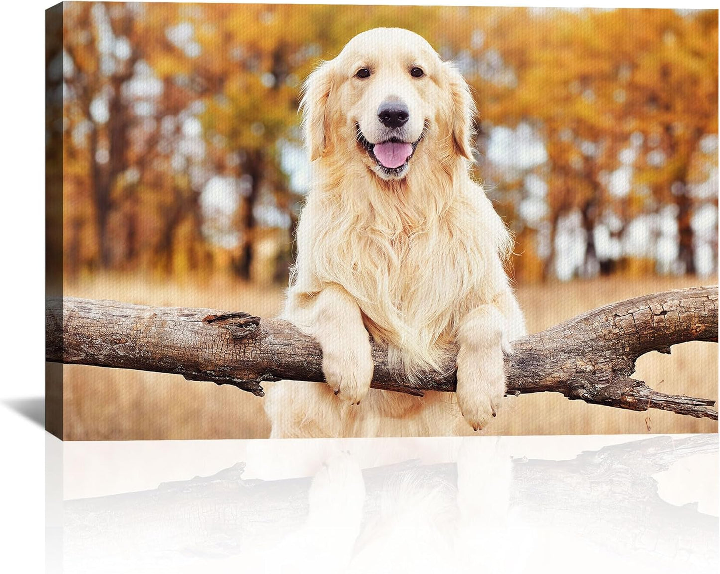 Custom Canvas Prints for Your Photos - Personalized Wall Art