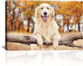 Framed 24x16 Custom Canvas Prints with Your Photos - Personalized Wall