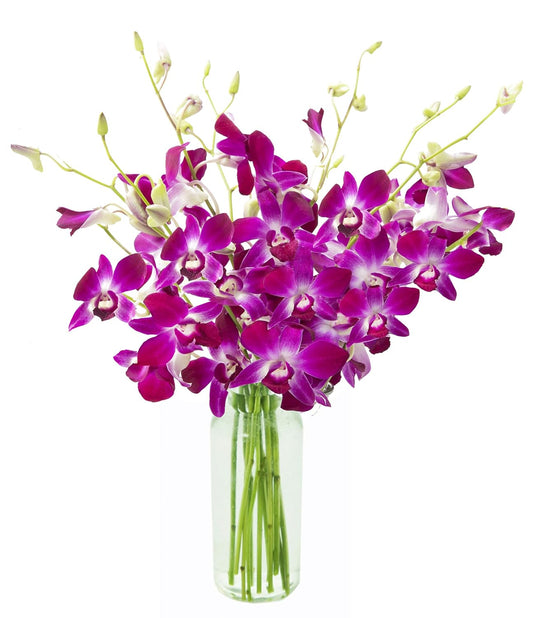 Bouquet of Purple Orchids - Fresh Flowers for Any Occasion
