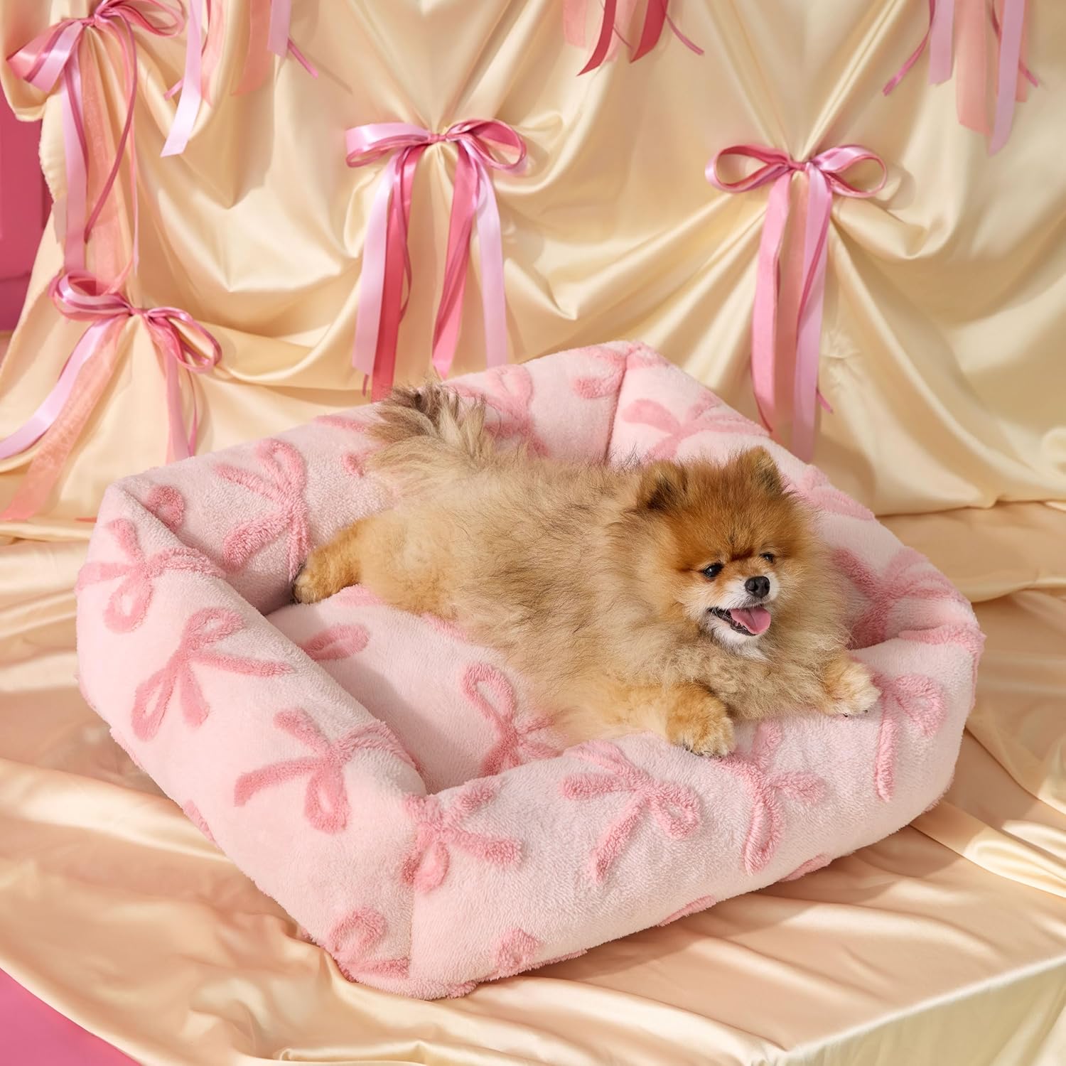 Lesure Cute Dog Bed for Small Dogs - Cozy Orthopedic Sofa