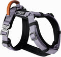 Y-Shaped Dog Harness for Small to Large Breeds with Adjustable Fit
