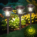 Solar Pathway Lights 8-Pack - Glass Stainless Steel Outdoor Lighting