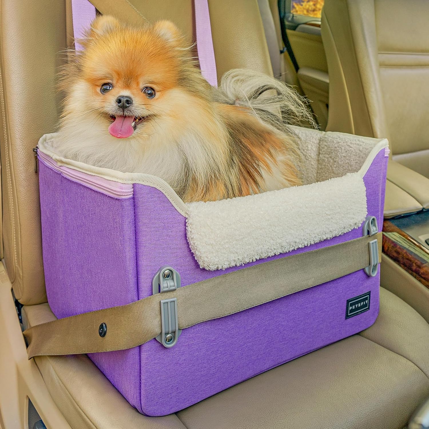 PETSFIT Small Dog Car Seat with Safety Buckles for Pets