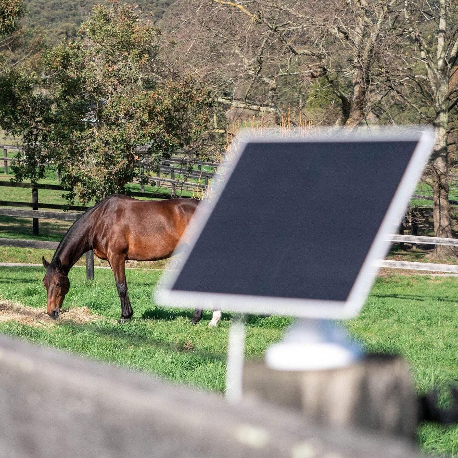 Equine Eye Vision Wireless Horse Camera with Night Vision & SIM