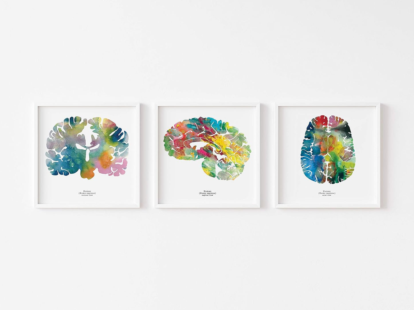 Neuroscience Art Trio - Calming Grad Gift - 8.5x8.5