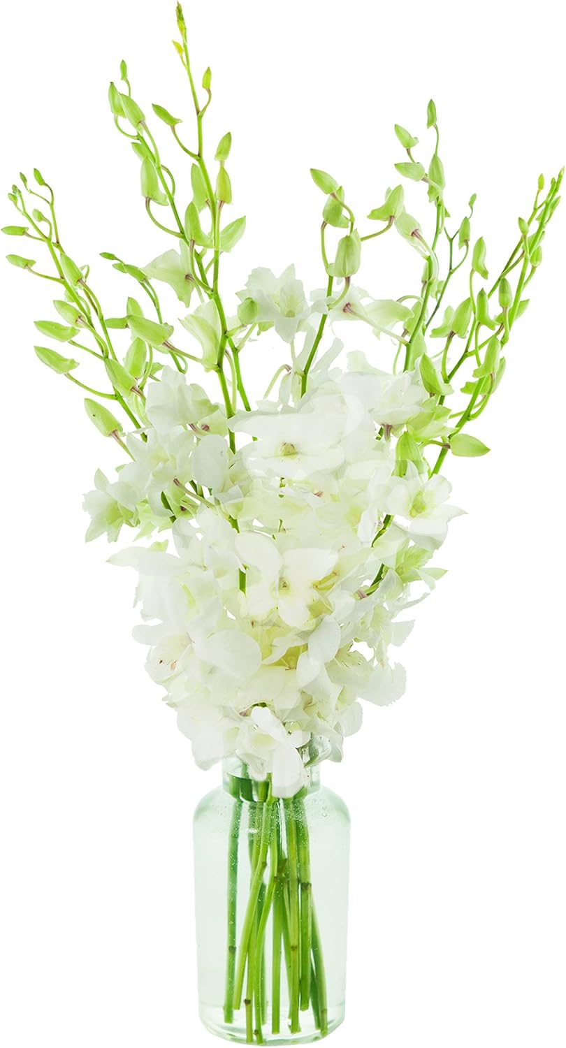 Exotic Perla Orchid Bouquet with Free Vase for Any Occasion