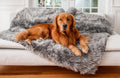 PupProtector Waterproof Throw Blanket Large Charcoal Grey - Calming