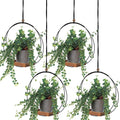 Geelin 4 Pack Plant Hanger with Wood Base - Boho Window Planters