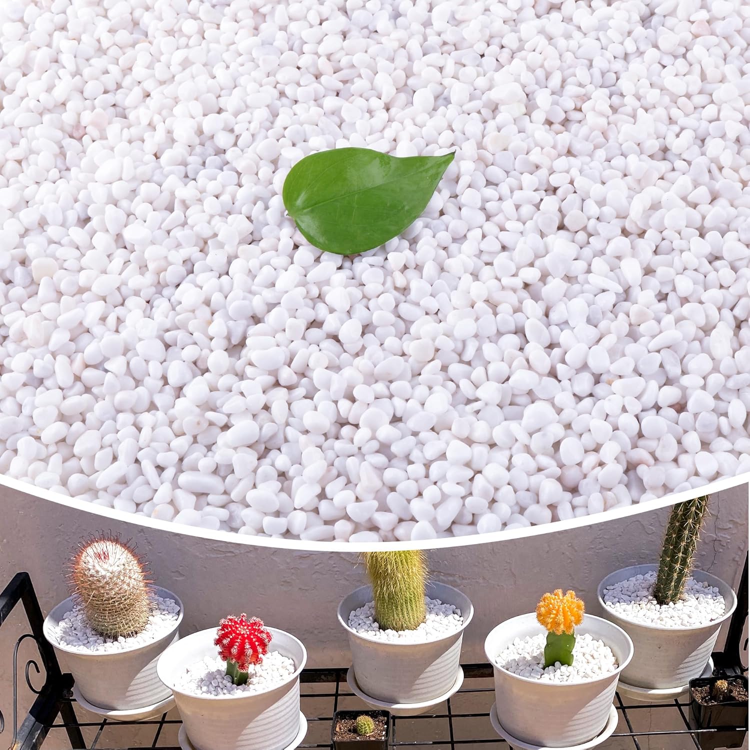18lb Small White Rocks for Plants, Potting, and Aquariums