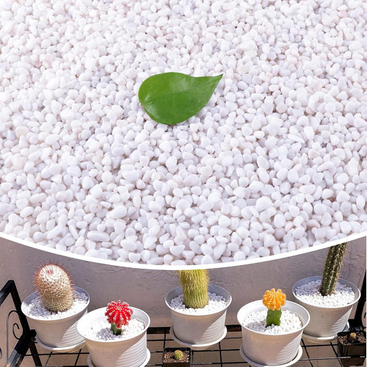 18lb Small White Rocks for Plants, Potting, and Aquariums