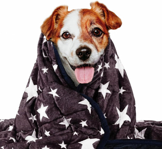 LaSyL Weighted Blanket for Pets - Calming Dog Anxiety Relief