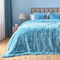Fuzzy Faux Fur Throw Blanket Queen Size Sky Blue Cozy Plush