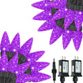 C6 Halloween String Lights 2 Pack (66 ft, 200 LED) - Purple