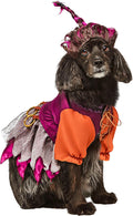Disney Hocus Pocus Mary Sanderson Pet Costume and Wig - Fun Halloween