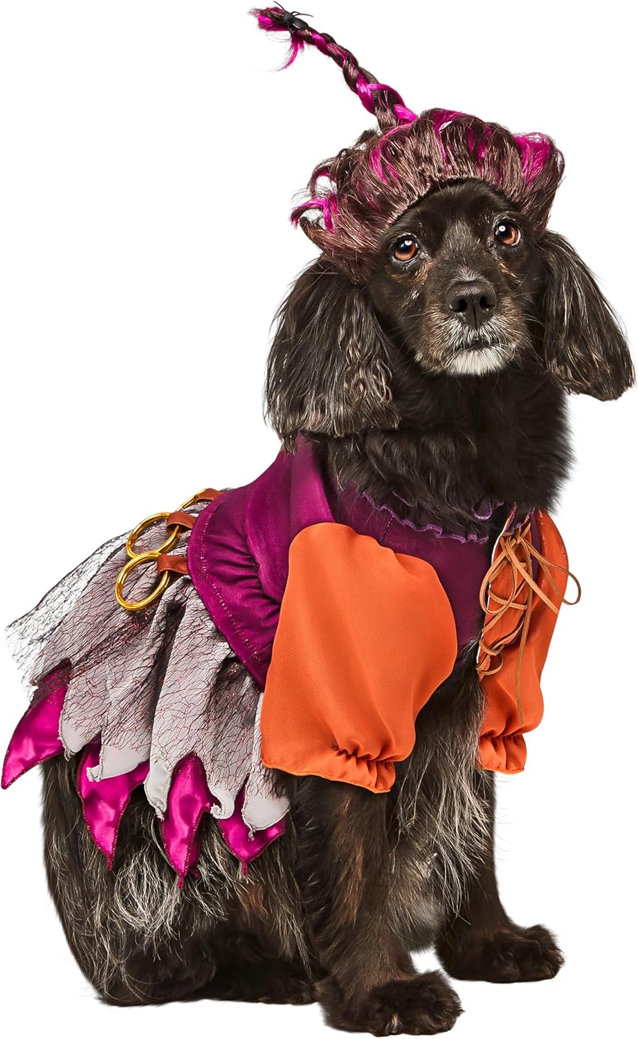 Disney Hocus Pocus Mary Sanderson Pet Costume with Wig Review