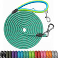 Long Dog Leash for Dog Training 100FT Teal - Durable Reflective Lead