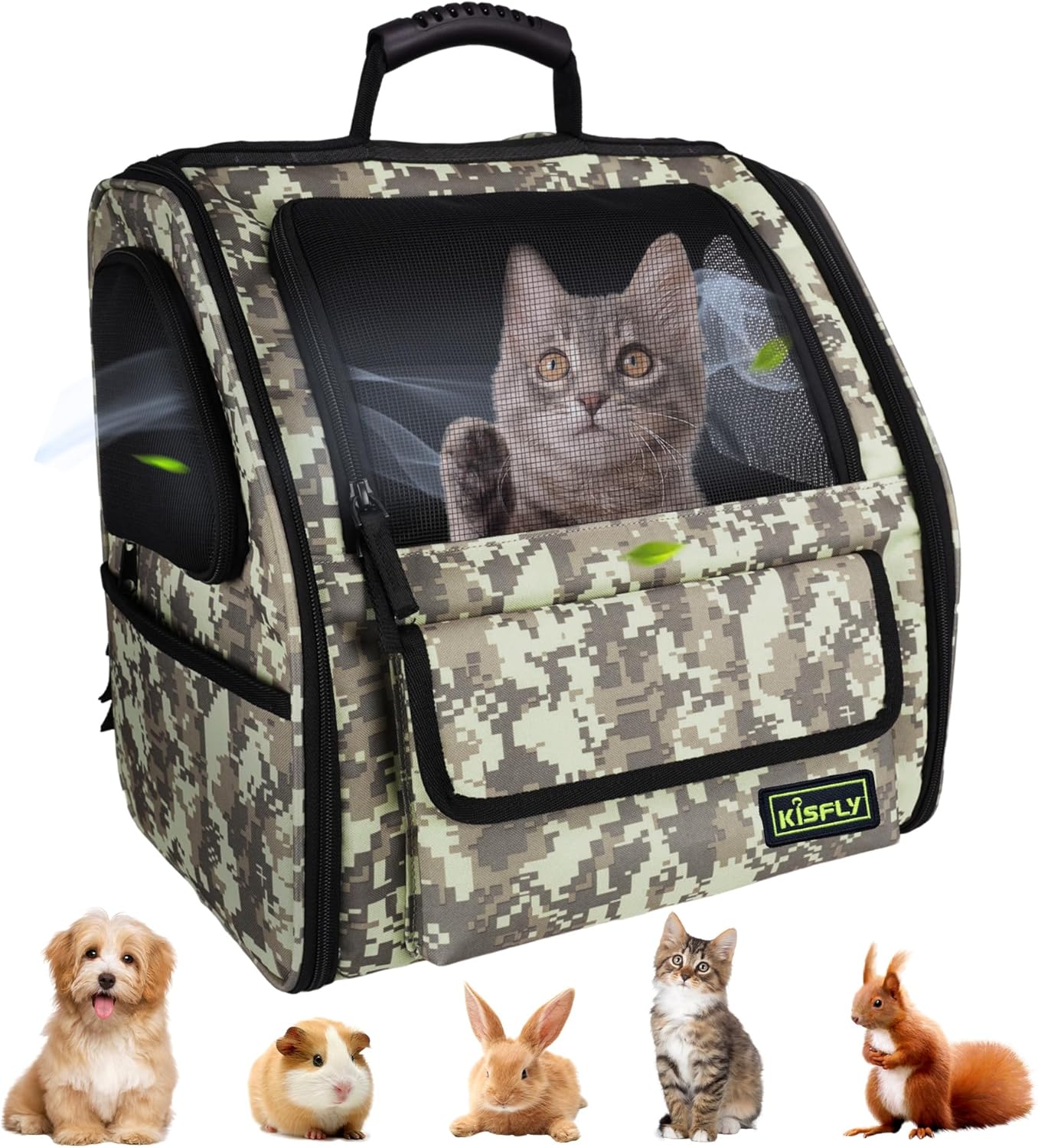 Collapsible Cat Backpack Carrier for Small Pets Up to 12 Lbs