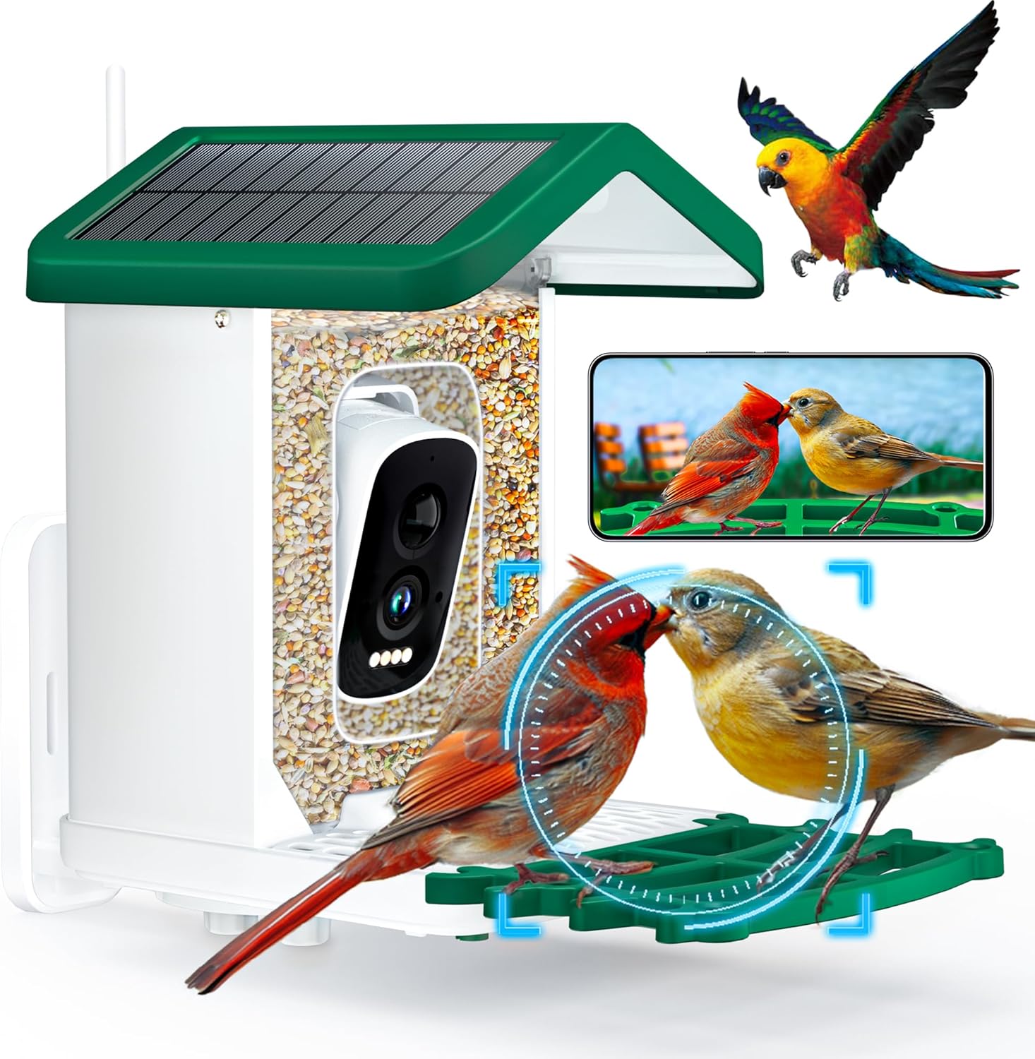 Wireless Solar Bird Feeder with HD Camera