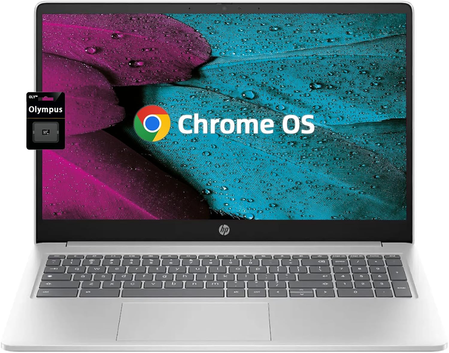 HP 15.6 Chromebook Laptop with Quad-Core Intel Processor N200