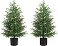 Norfolk Pine Real Touch Faux Tree 4FT 2-Pack - Compact, Realistic