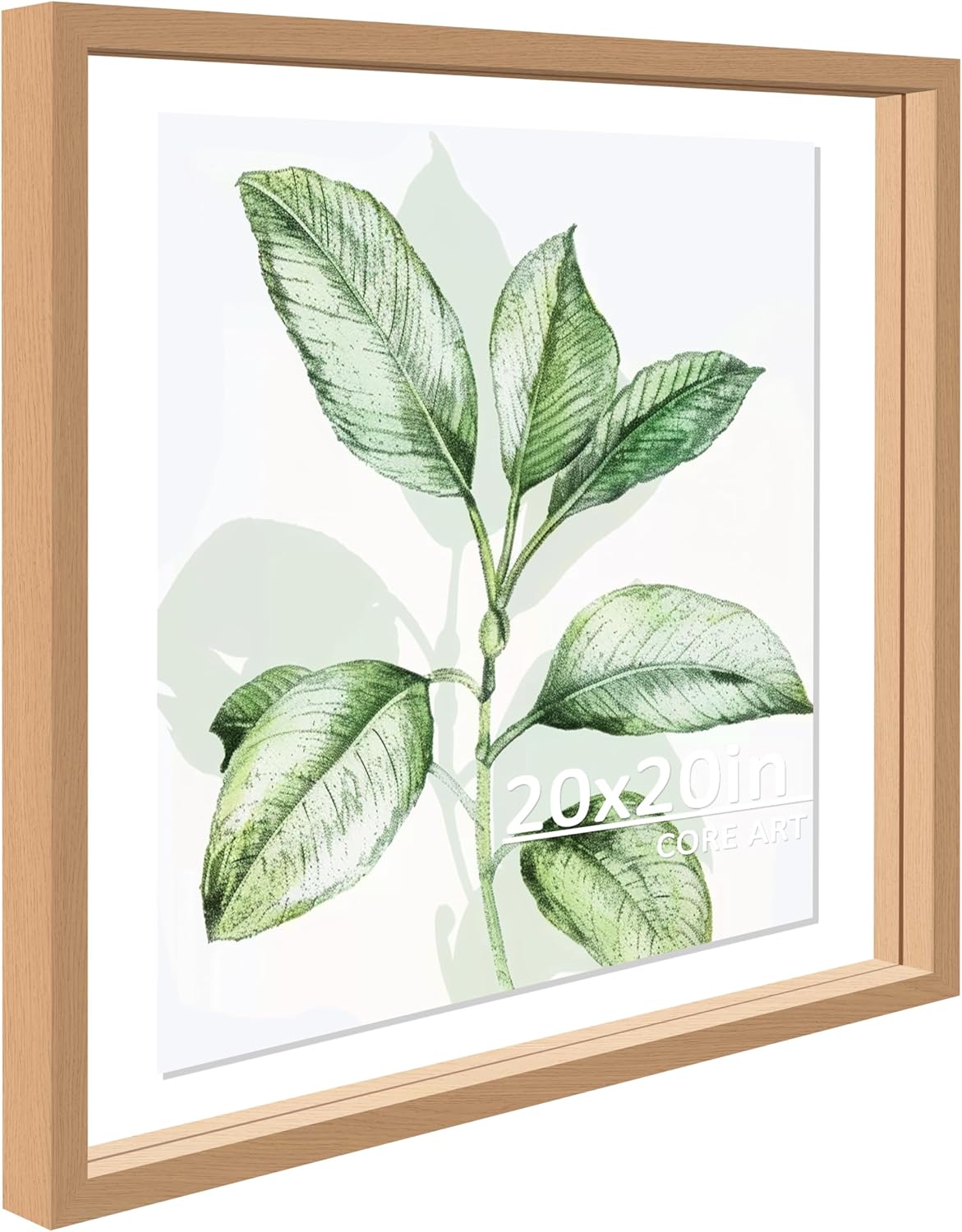 CORE ART 20x20 Floating Picture Frame for Stylish Displays