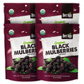 Organic Sun-Dried Black Mulberries 4 Pack Bundle - Raw, No Additives