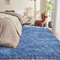 OPPODREAM 6x9 Blue Rugs for Bedroom - Ultra Soft Plush Area Rug