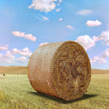 5 x 5ft Heavy Duty Slow Feeding Horse Hay Net - Saves 60% Hay