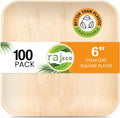 Raj Palm Leaf Plates 6 in Square 100-Pack - Compostable Dinnerware